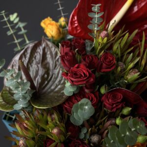 IMG_8574 Cvećara – mesto gde počinju emocije